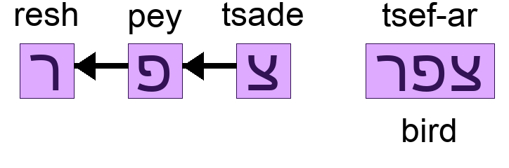 צפר - bird