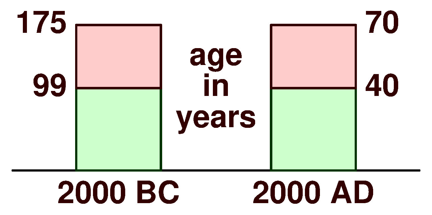 Abraham and Sarah bar chart