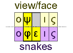 View and snakes