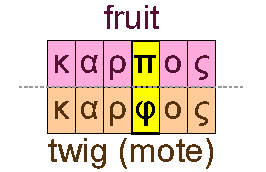 Fruit and twig