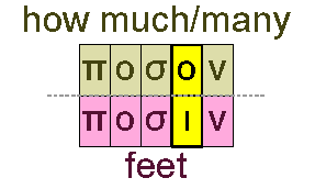 How much and feet