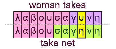 takeen woman and take net