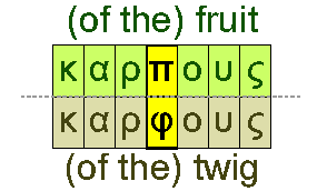 Fruit and twigs