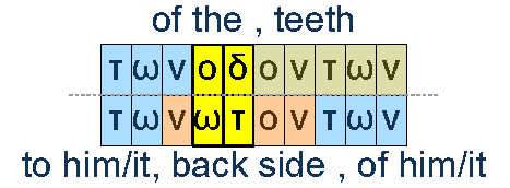 of the teeth and to him/it , back side of him/itt