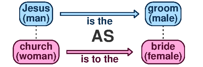 Analogy Jesus is the groom as the church is the bride