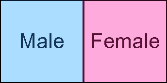 Male or Female