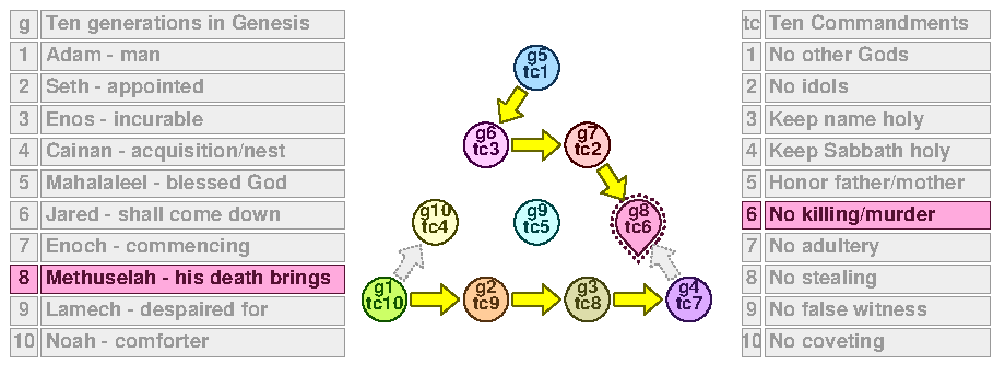 TC 8