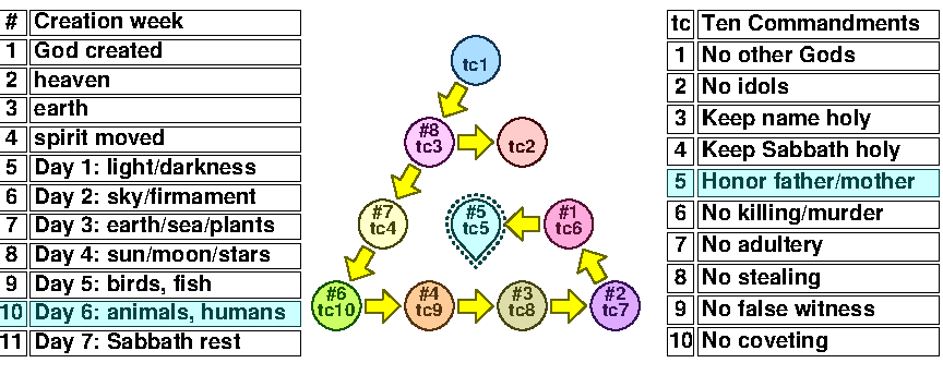 TC 11